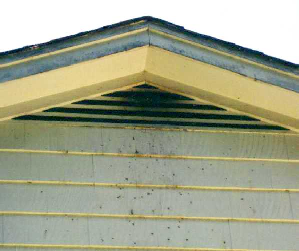 Smudges and rub marks on house indicating bat inhabitance